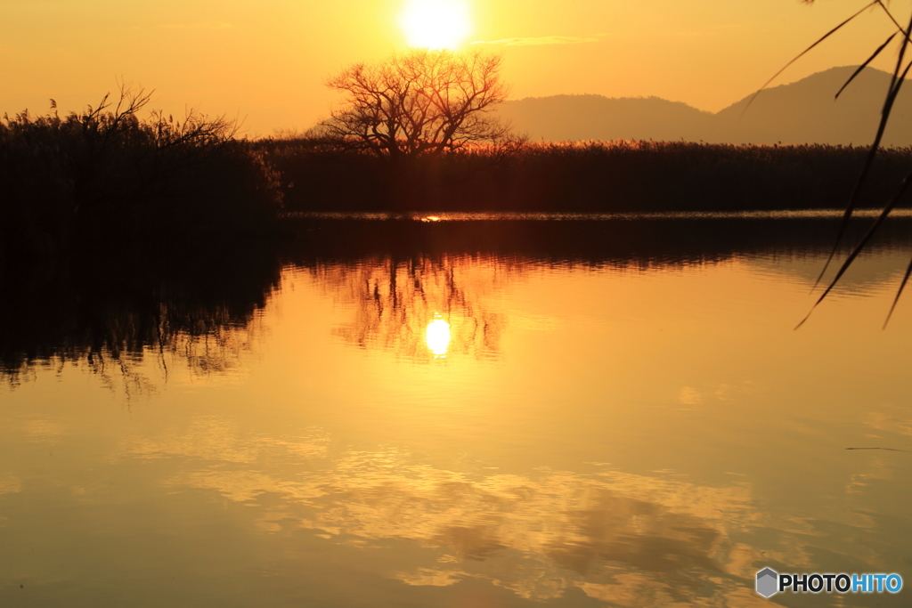 西の湖夕景_2