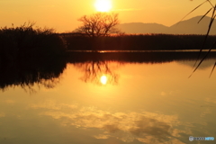 西の湖夕景_2