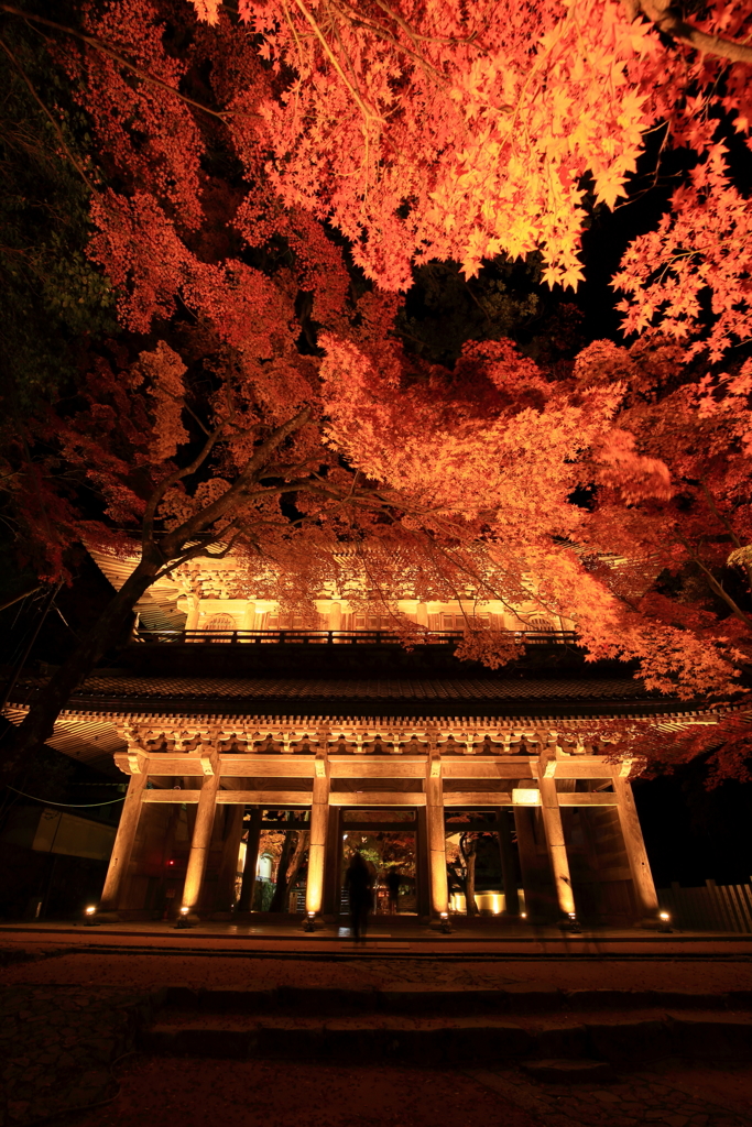 永源寺ライトアップ_1