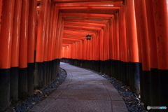 千本鳥居