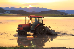 夕焼けトラクター