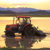 夕焼けトラクター