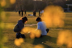 梅小路公園夕景_1