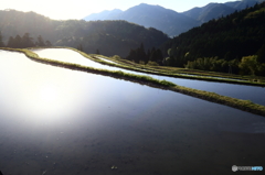 棚田の朝