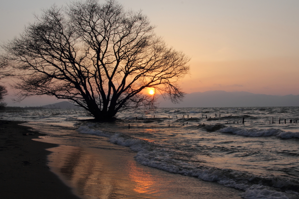 夕日の湖畔