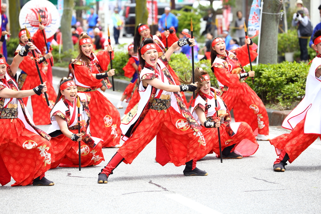 よさこいソーラン日本海　彦根三十五万石大会_10