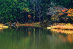 平池秋景_1