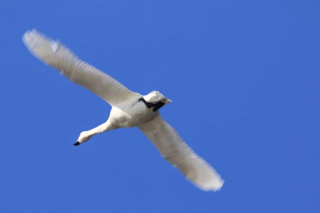 青空