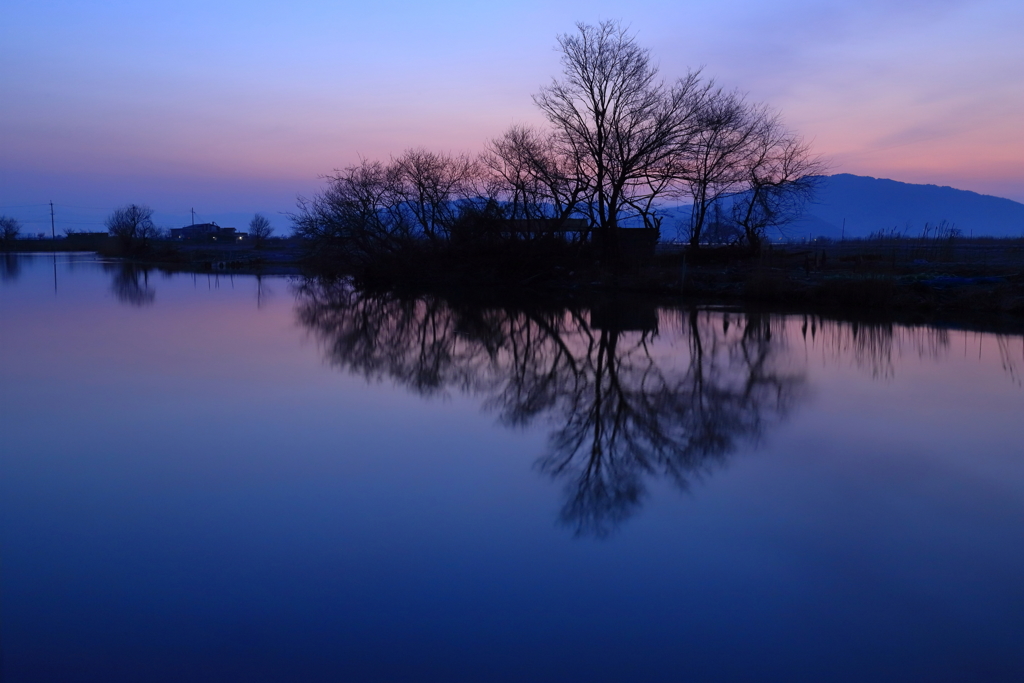 西の湖リフレクション