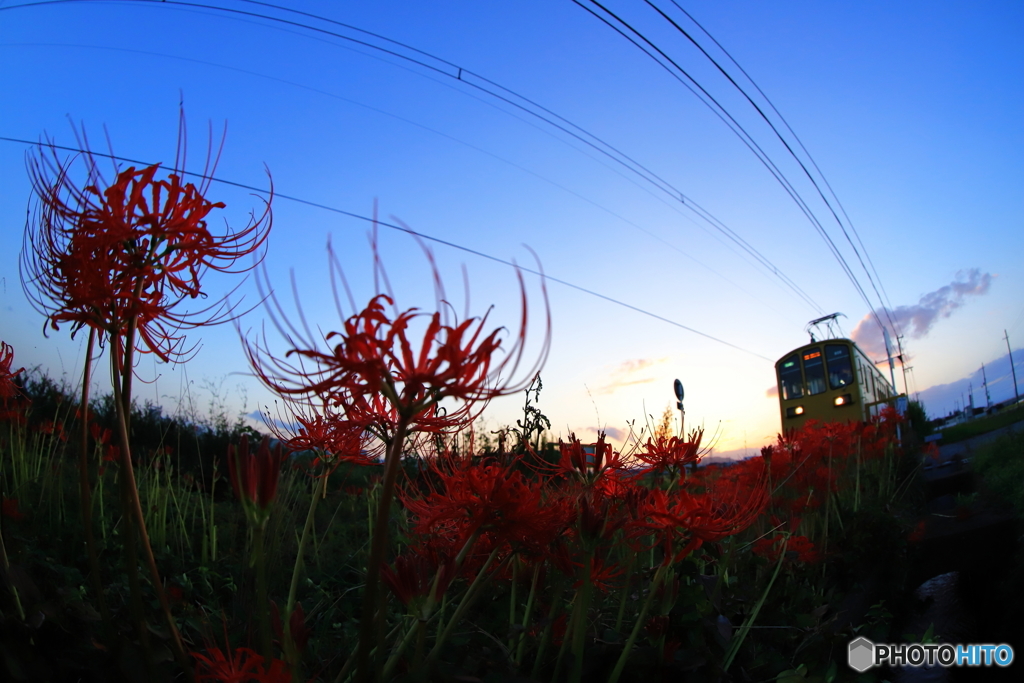 夕暮れ電車