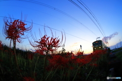 夕暮れ電車