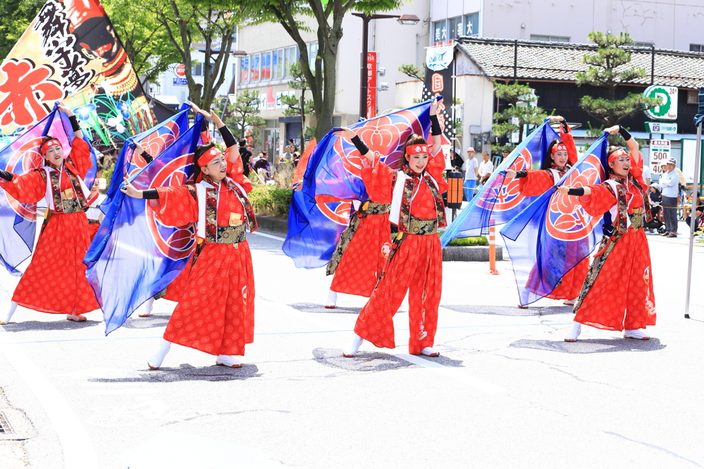 よさこいソーラン日本海彦根三十五万石大会_7