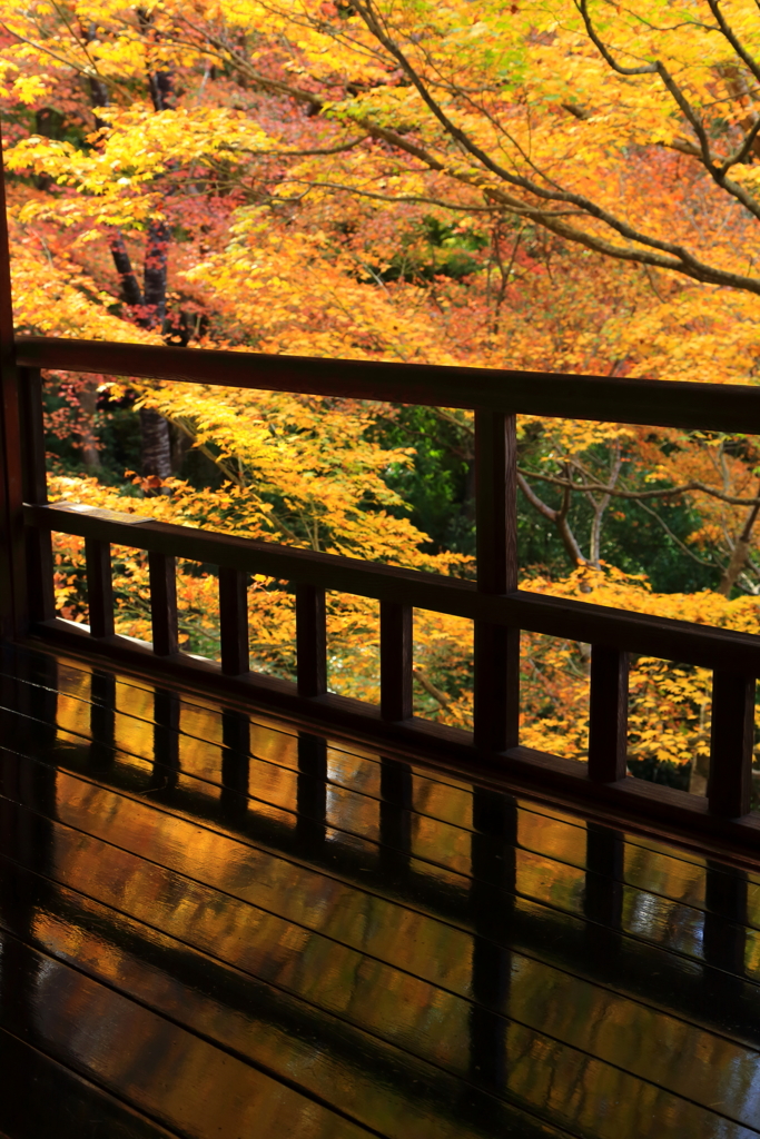 京都逍遥_6
