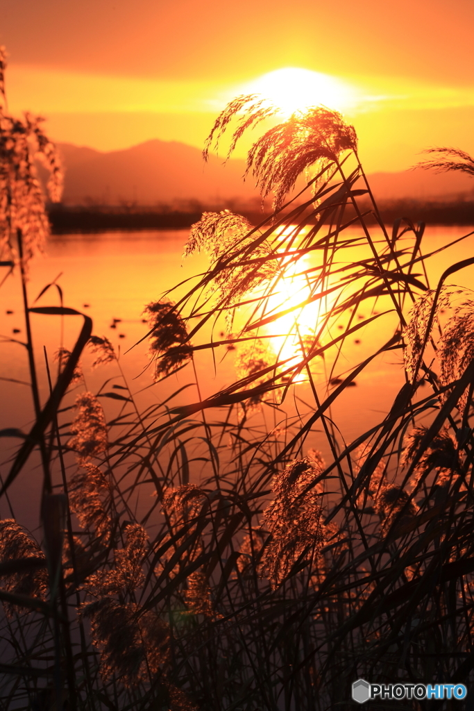 曽根沼夕景_2