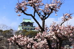 大阪城梅林_5