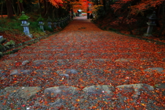 胡宮神社
