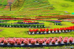 天空の花園