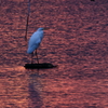 朝焼けに浮かぶ