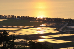 琵琶湖の夕暮れ