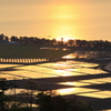琵琶湖の夕暮れ