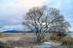 西の湖雪景色