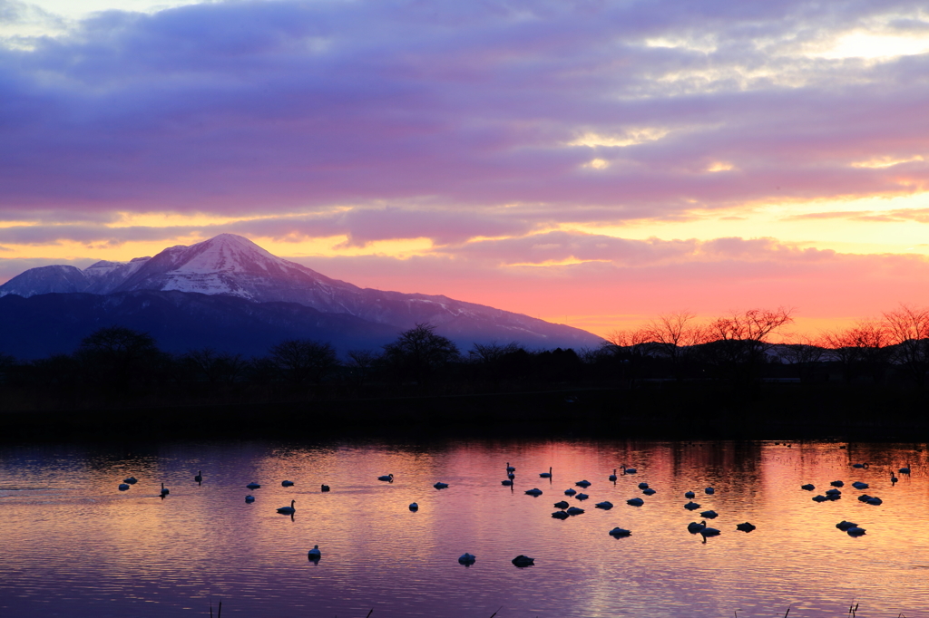 朝焼け伊吹山