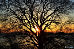 湖北夕景_3
