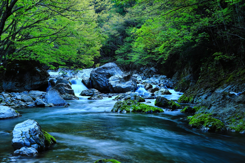 新緑の清流