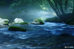 朝靄