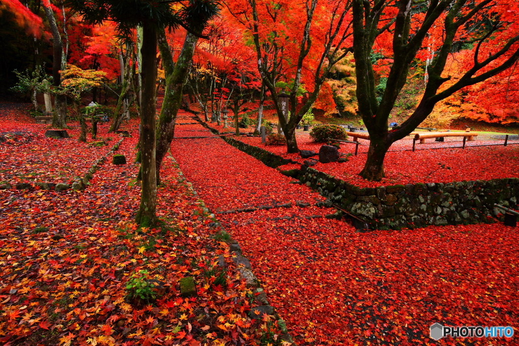 鶏足寺_1