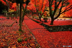 鶏足寺_1