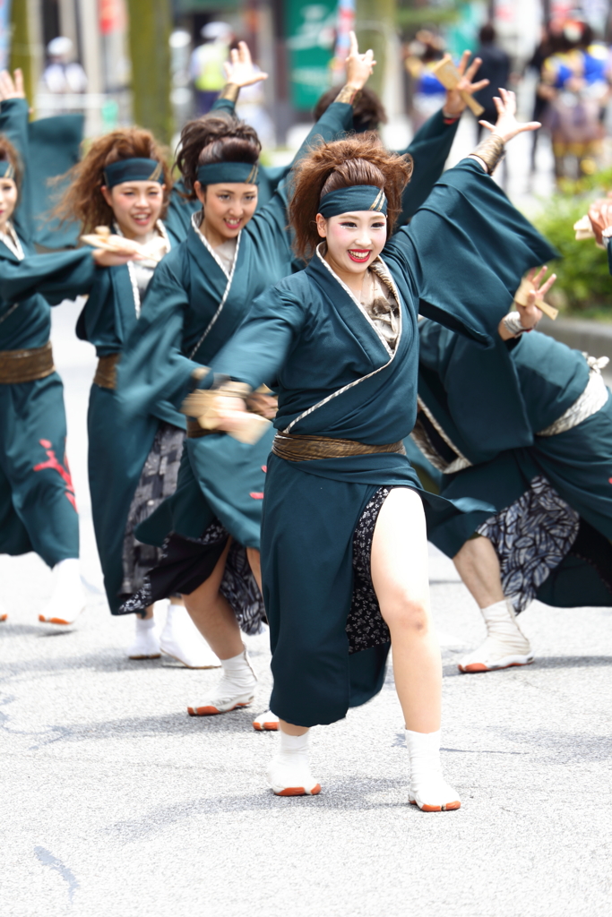 よさこいソーラン日本海　彦根三十五万石大会_9