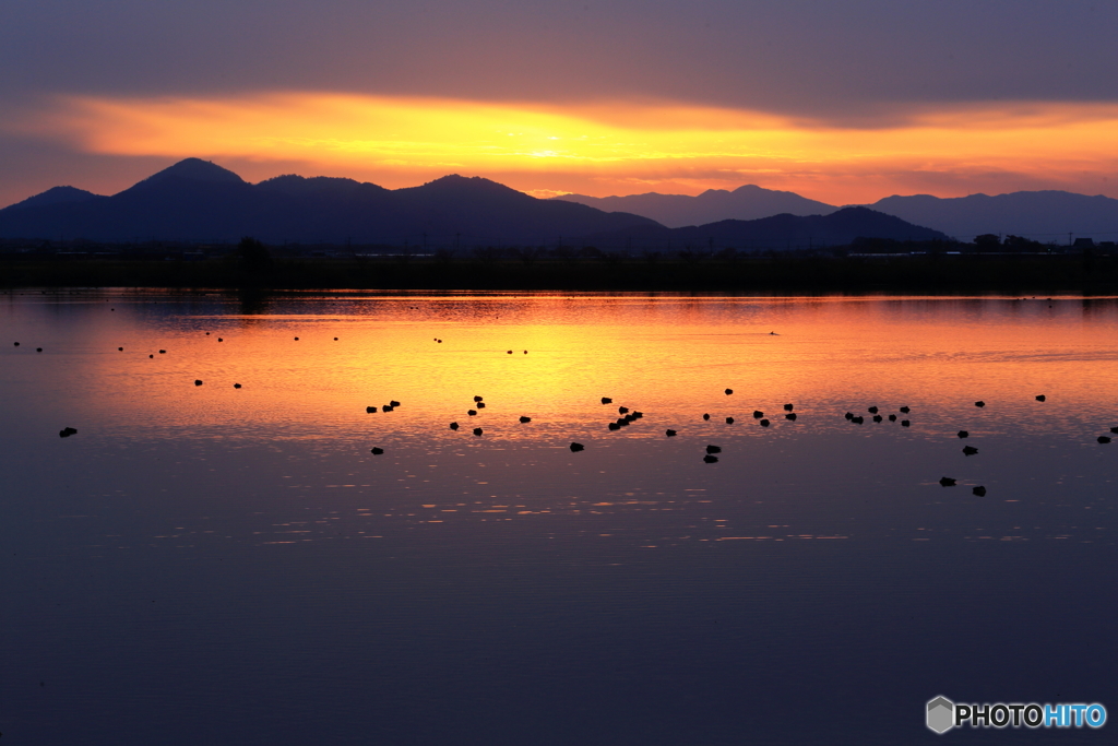 曽根沼夕景_1