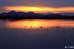 曽根沼夕景_1