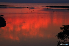 夕焼け