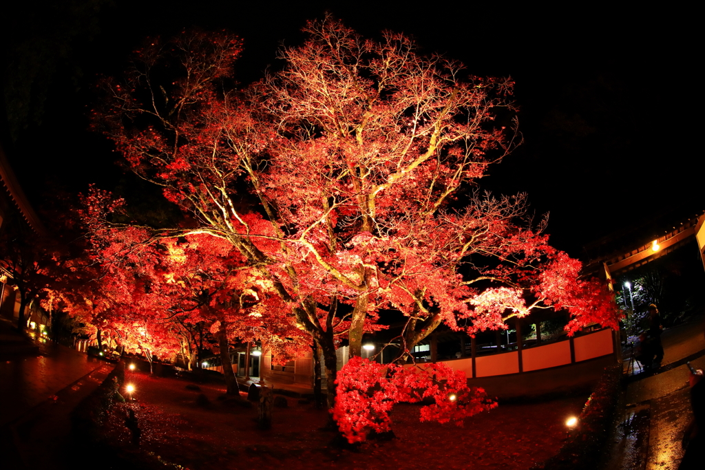永源寺_3