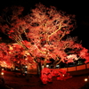 永源寺_3