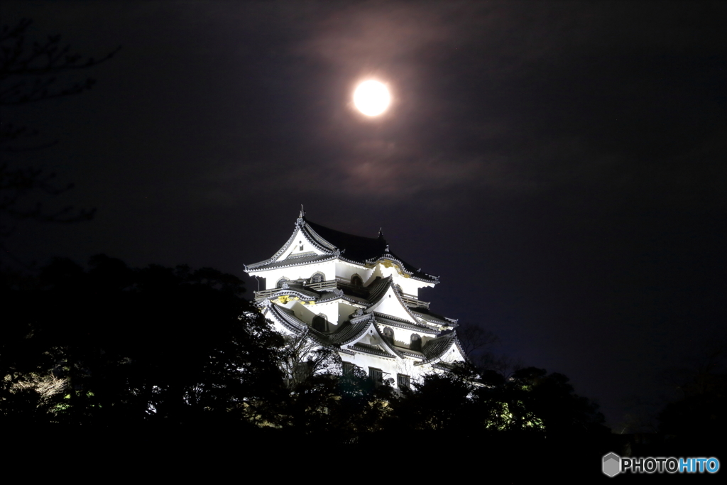 朧月彦根城