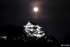 朧月彦根城