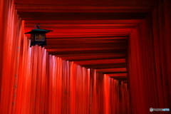 朱