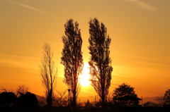 野田沼夕景