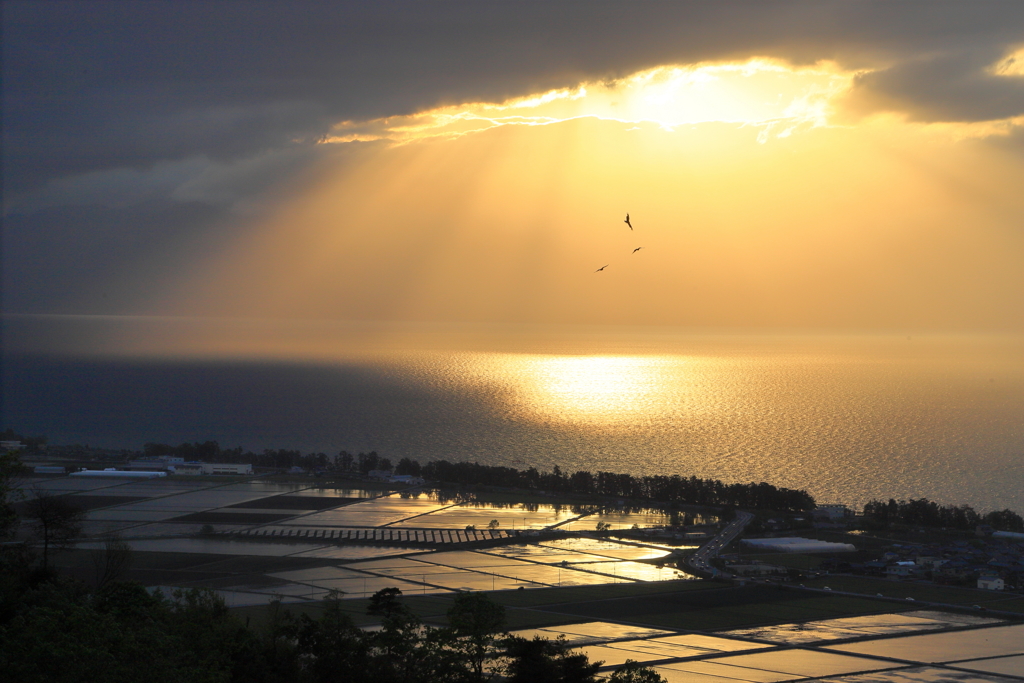 琵琶湖夕景_2