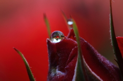 水玉水晶