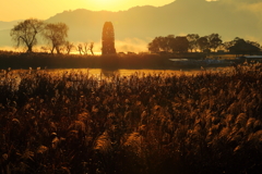 朝靄舞う朝