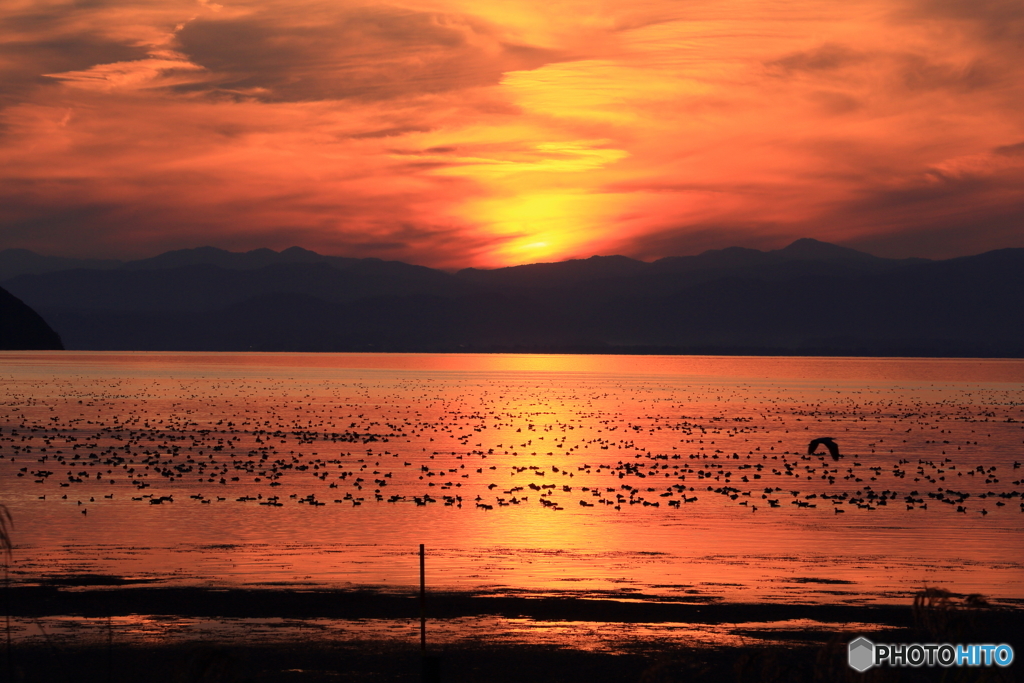 琵琶湖夕景_2