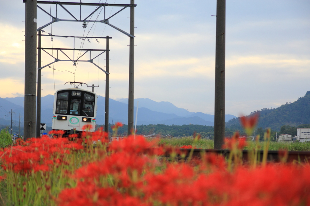 近江鉄道