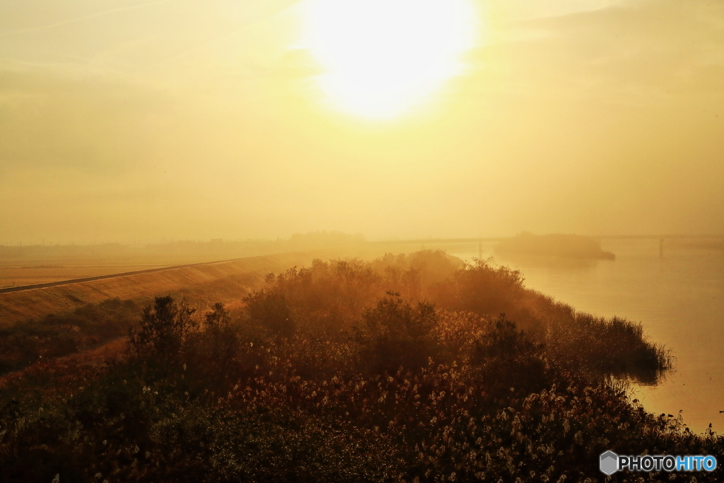 朝陽に照らされ