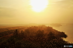 朝陽に照らされ