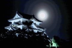 彦根城と月