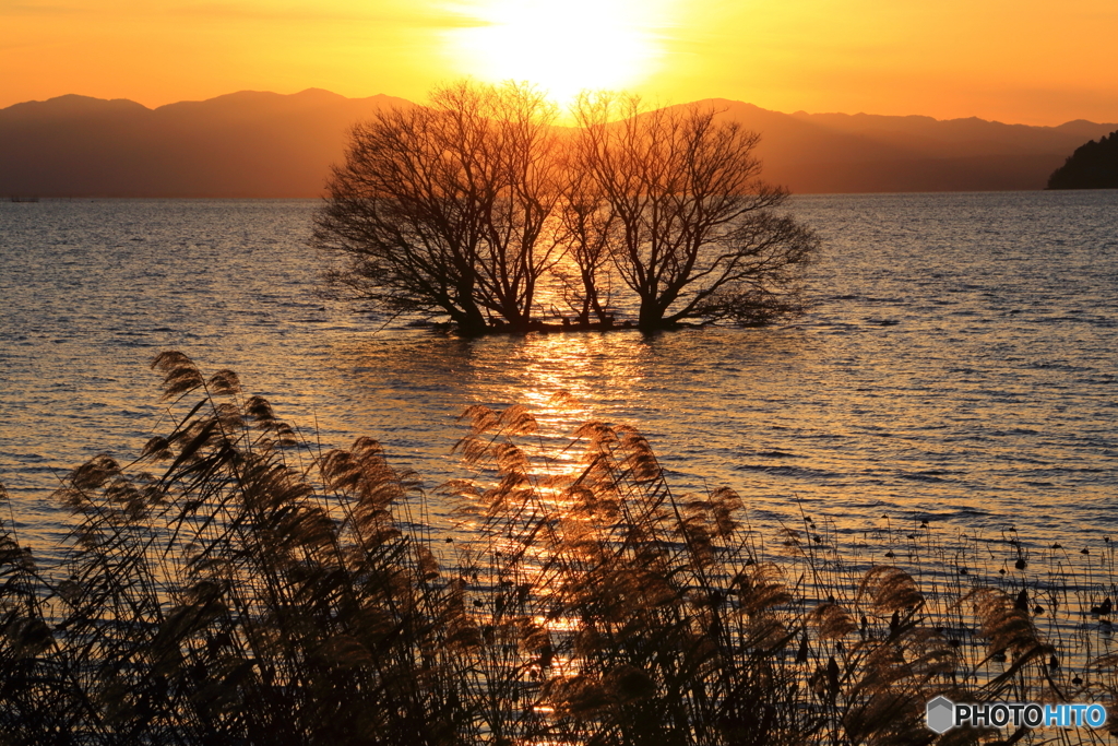 湖北夕景_2